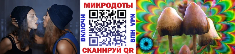 Галлюциногенные грибы ЛСД Верещагино